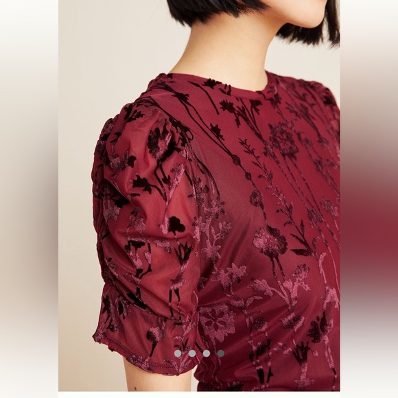 Anthropologie En Elly Doria Burnout Velvet Top - Picture 3 of 10
